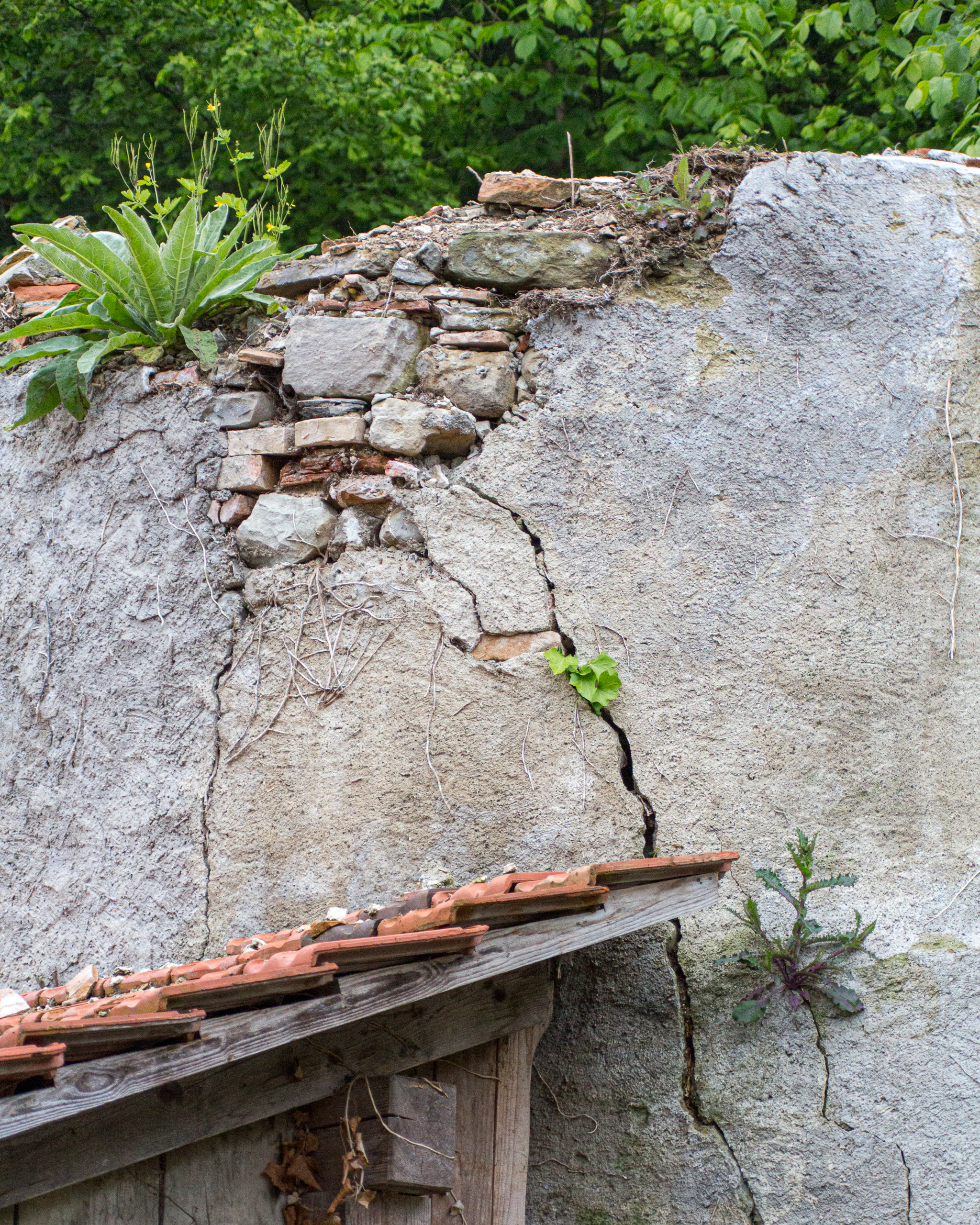 20130525071355 RD 27904